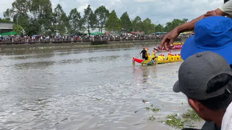 Ván ghép k cần câu 😬 Top 4🏅#duaghengosoctrang#chuatratimcu#xuhuongtiktok 