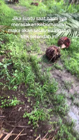 Gass aja dlu! #tandanberduri #fyp 