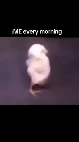 SO ME 😂😂😂#funny #treanding #viral #Love #forever 