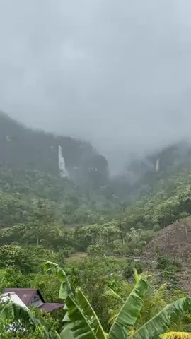 Sala satu keindahan kampung halaman yg di rindukan para perantau,sehat selalu buat seluru anak rantau yg jau dari kampung halamanya masing masing.#kampunghalaman  #anakrantau 