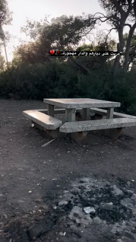 يزن حمدان 🥹❤️ #شعب_الصيني_ماله_حل😂😂 #تصويري_احترافي_الاجواء👌🏻🕊😴 #explorepage #فوريو 