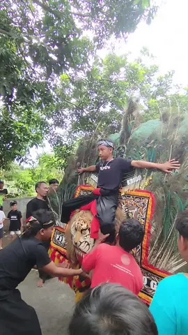 pertunjukan reog @singopermadi02 dalam rangka ulang tahun Alif ke-14 tahun #reogponorogo #pembarongnusantara #solahbarongan #surakarta24jam #sukoharjo24jam 