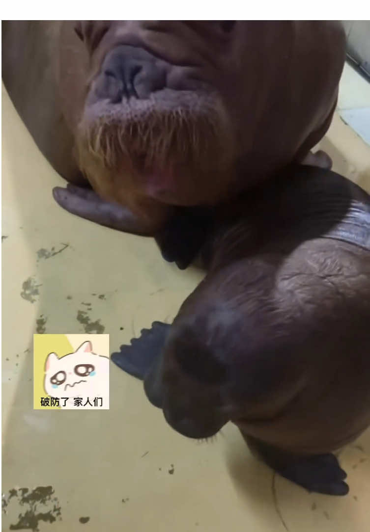 🎮 *When Mom catches you gaming...*   😭 