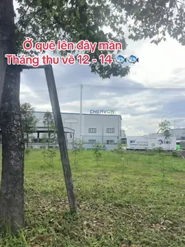 Việc làm Mỹ Phước, Bình Dương #vieclam #vieclambinhduong 