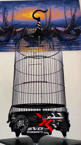 BNR INDONESIA  #fyp #bnrindonesia #lovebird #sogon #sogonmaniaindonesia 