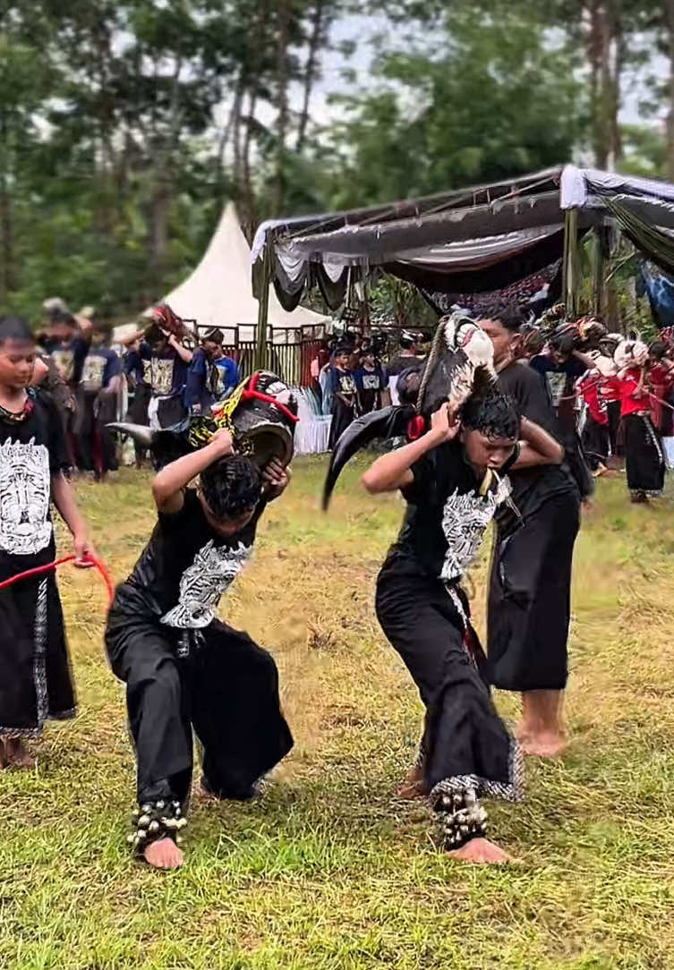 kembar mode amok #llsofc #lembulaskarsentono #bantengan #lumajangmberot #mberot 