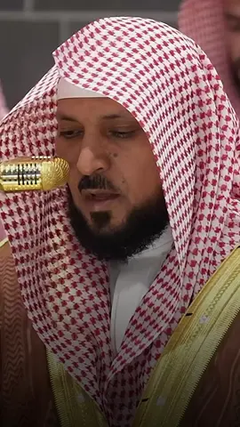 ووصينا الإنسان بوالديه أحسانا🤎🥹 #سورة_الأحقاف #ماهر_المعيقلي #تلاوة_خاشعة #الحرم #دعاء_خاشع_مبكي_القلوب 