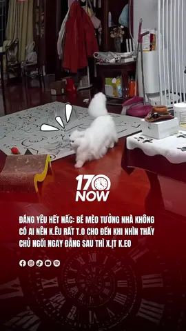 Ủa tưởng nhà không có ai #17network #17now 