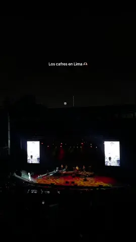 Los cafres 😎🤙🏻 #loscafres #loscafresenlima #loscafres💚💛❤️ #loscafresenvivo #conciertoenlima🇵🇪 