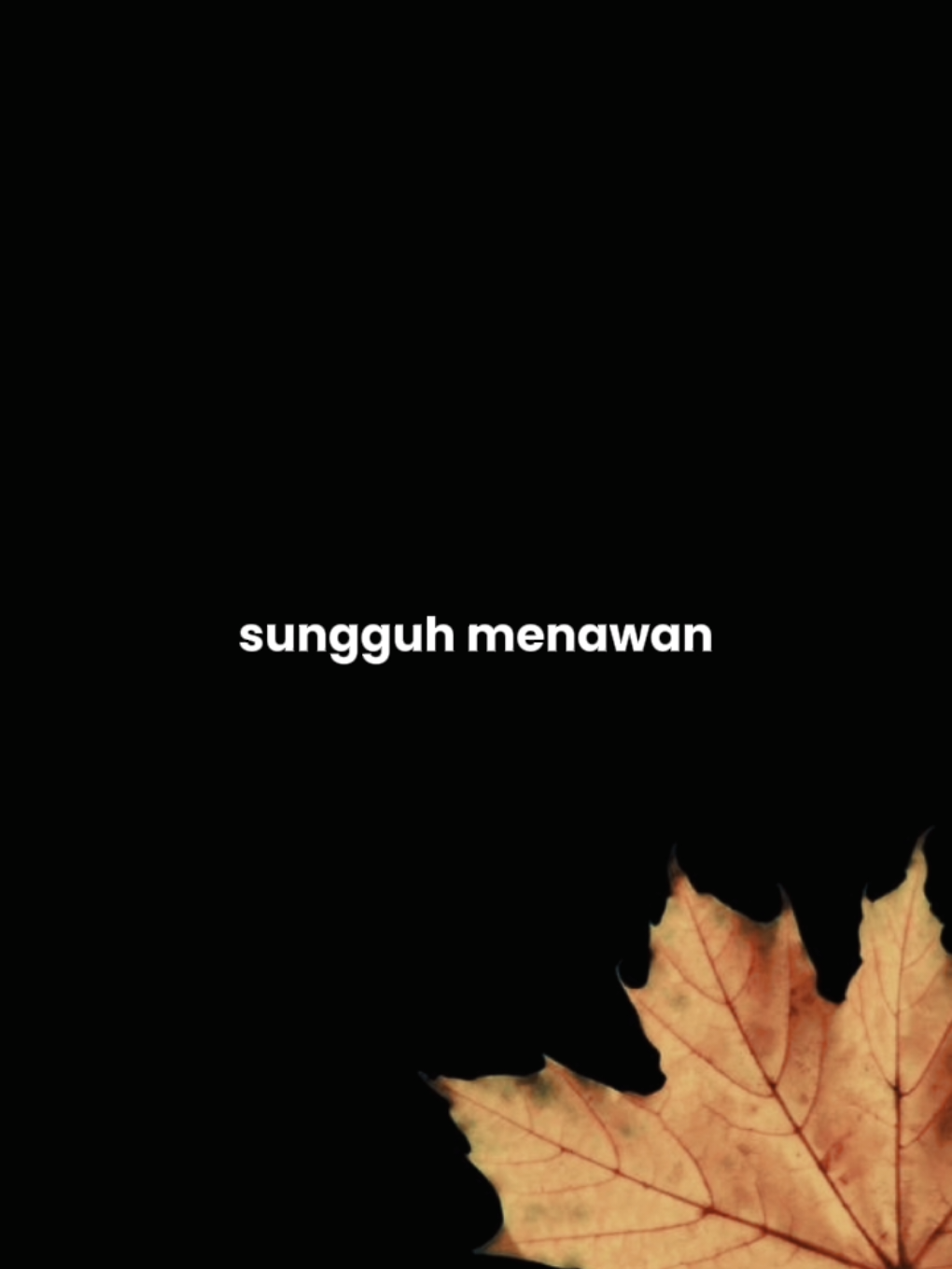 cinta dari seberang 🤏🔥 #overlay #templatelirik 