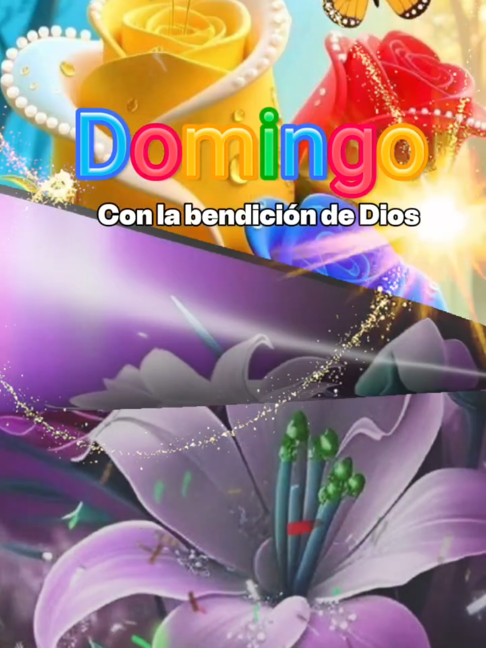 Excelente día Domingo mí gente hermosa bendiciones para todos 🙏🌞🌹❤️👈
