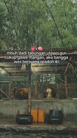 alhamdulillah paringi lancar awak sehat mawon gusti☺️#perintisbukanpewaris #peternakmuda #suksesbutuhproses #suksesmuda #motivation 