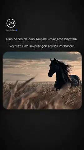 #foryourpage ....🥺🥺