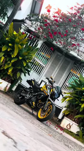 💛😫#foryoupage #trending #virlvideo #Foxy💛🐺 #ගාල්ලෙ_අපි🌍 @||Wishu Girl 🤗🍃|| 