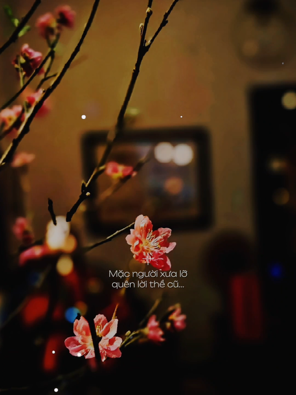 Không sao đâu rồi bình minh rồi sẽ đến... [ Hãy Mĩm Cười Em Nhé ] #haymimcuoiemnhe #nhacbuontamtrang #tramcamxuc💔 #maucapcut #phonhac 