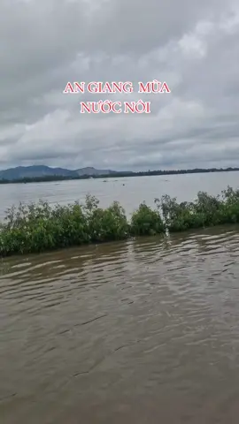 #xuhuong2024tiktok❤️🌈✔️🤟🤟🤟story #xuhuong2024tiktok❤️🌈✔️🤟🤟🤟story 