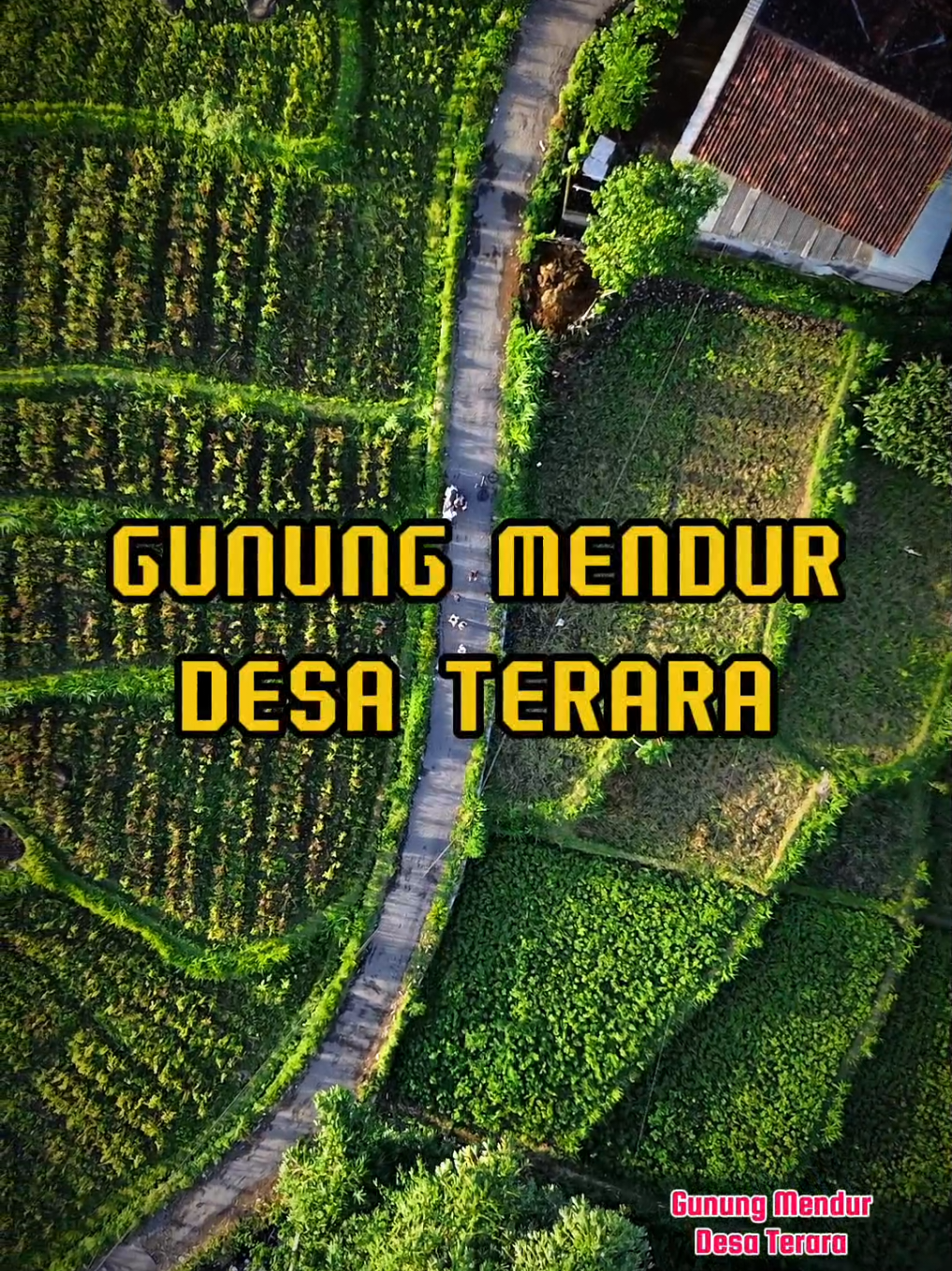 Janda :  Spill Gubuk Gunung Mendur Kaka' udah lama kangen rumah... Me : Gasssss.....!!! #lotim #lomboktimur #visitlombok  #hailotim #explorelombok #drone #djimini #dji #satulangit #lombokvirall🌴🌴 #lombokisland #dronekampung #kampunglombok