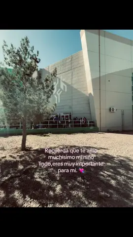 @𝕮𝖊𝖘𝖆𝖗 en verdad lo amo más que a nadie en el mundo,en verdad tengo miedo de perderlo de nuevo por mis estupideces pero él me ah echo entender que jamás me dejaría sola de nuevo,estoy tan agradecida con Dios de averme dado otra vez la oportunidad de estar a su lado,él no sabe cuánto me está haciendo feliz,algunas personas no entienden el amor que nos tenemos uno al otro y jamás lo entenderían,desde el primer día en que lo conocí ese mismo día sentí como una gran conexión entre nosotros,sé que tuvimos muchos problemas y peleas pero cada vez que sucede eso siempre tratamos de solucionar todo y hablarlo,sin importar el tiempo yo siempre te voy a amar con todo mi corazón,jamás en mi vida eh sentido tanto amor por una persona,te prometí que mi corazón solamente iba a ser tuyo y créeme que estoy cumpliendo con mi palabra,eres el mejor niño del mundo tal y como eres,eres hermoso,inteligente,amoroso amable,respetuoso sinceramente eres perfecto,aunque digas que ya no juegas como antes el Futboll,para mí eres el mejor jugador del mundo,no sabría cómo explicarte todo el amor que te tengo por qué es un amor tan grande eh inmenso,pase lo que pase yo siempre te voy a amar,apoyar,escuchar y siempre estaré para ti en cualquier momento de mi vida,estaré orgullosa de ti en cada cosita que logres,sé que aveces no eh sido buena novia pero cada error que yo cometo siempre trato de solucionarlo,aunque solo seas mayor que yo por un año exacto para mí siempre serás mi bebito lindo,Te amo muchísimo mi niño chiquito💘 #fyp #parati #pinchetiktokponmeenparati #saquenmedelflop #amoaminovio 