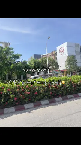 မှတ်ချက် -Htunlin #fyp #foryou #foryoupage #fyppppppppppppppppppppp #moots? 