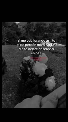 #teextrañomami🥺💔 