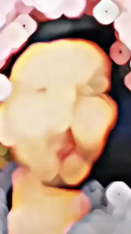 everything is money #fyp #shahidanwarllc #shahidanwar #creatorsearchinsight #1millionaudition 