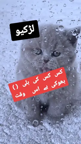 #foryoupage❤️❤️ #illu #videoviral #virel #tiktoker 