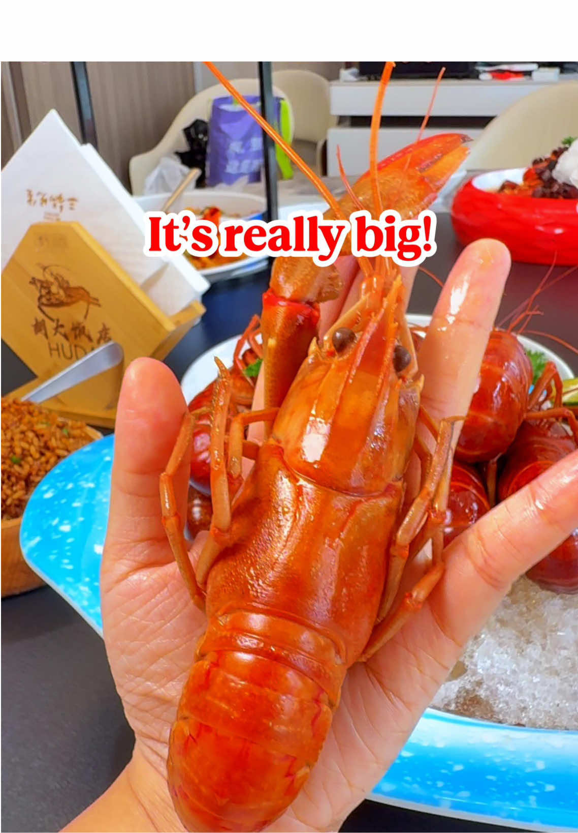 🇸🇬 OMG… these crayfish are bigger than my hand‼️ 🔥 Choose from four flavors! 🦞 Mala | Garlic | Sweet & Spicy | Chilled 💥 Thin shell, meaty inside, bursting with flavor 🍻 Perfect late-night snack with drinks — you just can’t stop! 📍 56 Temple St, Singapore 058601 #Foodie #Singapore #Crayfish