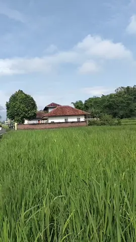 omaome077 fyyypppp.tukang kuli