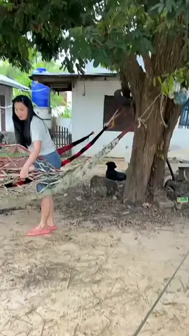 Punya Sapi 🐄 kok begini sih,,🤦