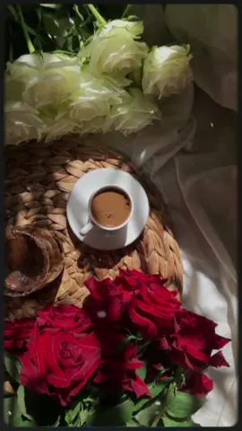 #CapCut لا اله الا الله محمد رسول الله🌹🌺#اكثرو_من_الاستغفار #اكتب_شيء_تؤجر_عليه🌿🕊 