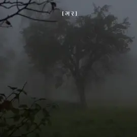 #mara247 #mara #y43740 #youu06 