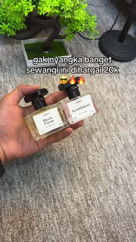 #parfums #parfumrekomendasi #parfummurah #parfumtiktok #parfumviral #parfum 