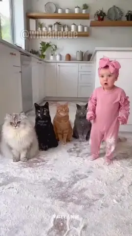 Baby and cat and dog do funny video 😂😂😂 #funnycat #fyp #viral #waleed_mdz #funny 