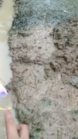 thằng nào có chiếc mini thì chơi với tao ok