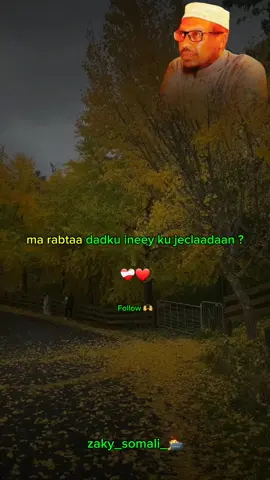 ma rabtaa dadku ineey ku jeclaadaan-🫶❤️‍🩹🔥#zaky_somali #dhiirigalin #sheekhmustafe #zaky_somali_🧑‍💻 