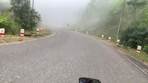 ព្រឺរោម 📍⛰️អ័ព្ទម៉ោង3ល្ងាចលើភ្នំគោ #bokormountain #kampot 