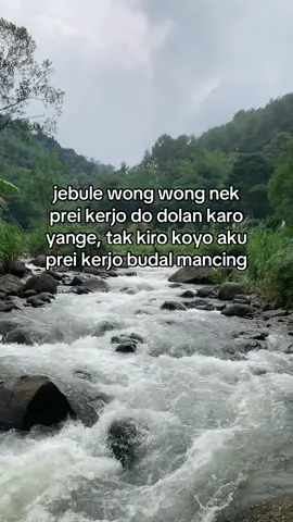 #fypmancing #storymancing #mancingliar #microfishing #explore 