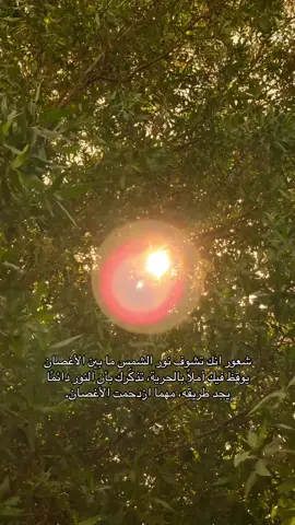 #fyp #سدف #السدف 