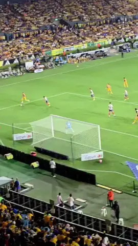 Gol Anulado, pero el festejo se queda ESTO ES TIGRES 💛💙 #9❤️ Ibáñez