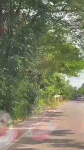 รีวิวร้านอร่อยๆแซ่บๆในหนองคาย😋🍜🥗🍴 #ข้าวปุ้นฮ้อนหนองคาย  #ร้านลับหนองคาย  #ร้านเด็ดหนองคาย  #หนองคาย 