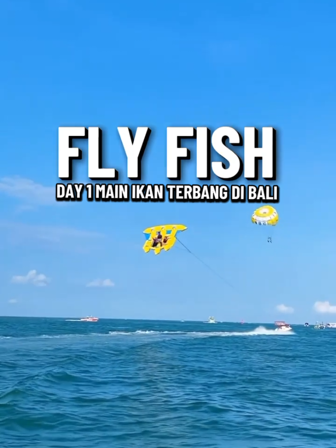 DAY 1 MAIN IKAN TERBANG DI BALI FLY FISH TANJUNG BENOA WATER SPORT NUSA DUA BALI #balibucketlist #watersportdibali #flyfish #watersports #tanjungbenoa 