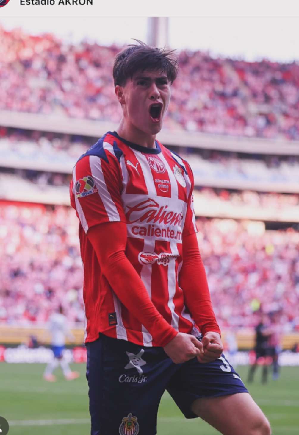 Le voy a decir a la Lupita 🗣️   |   #chivas #lahormiga #ligamx #viral #rebañosagrado 