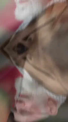 #بنت_الشايب_ابو_مهدي_المهندس #بنت_الحشد_والمرجعيه❤✌ #نجفيه_وافتخر #متابعه_ولايك_واكسبلور_احبكم #مالي_خلق_احط_هاشتاقات🧢🙂😂 