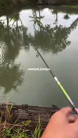 Dasar ikan terKUTUK ,inginku berkata kasar 😒#CapCut #xyzbca #fyp #relixnusantara #irolyfishingteam #capung662 #ultralightfishing #castinggabus 