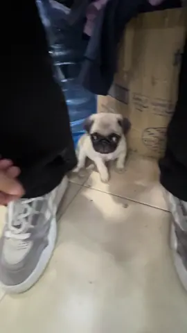 Ahora si serios #macizo #fyp #fyppppppppppppppppppppppp 