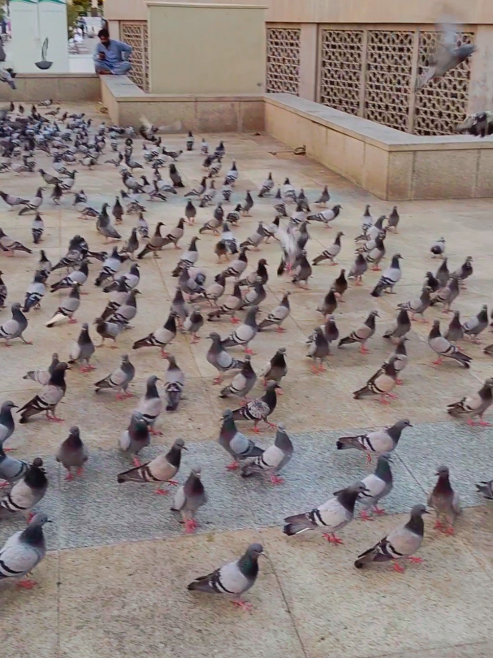 #naat #foruyou #CapCut #viral #tik 