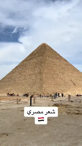 #القاهرة #مصر #شعر_مصري #viral 