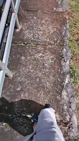 p mancing  #capcut #jogja24jam #nglanggerangungkidul