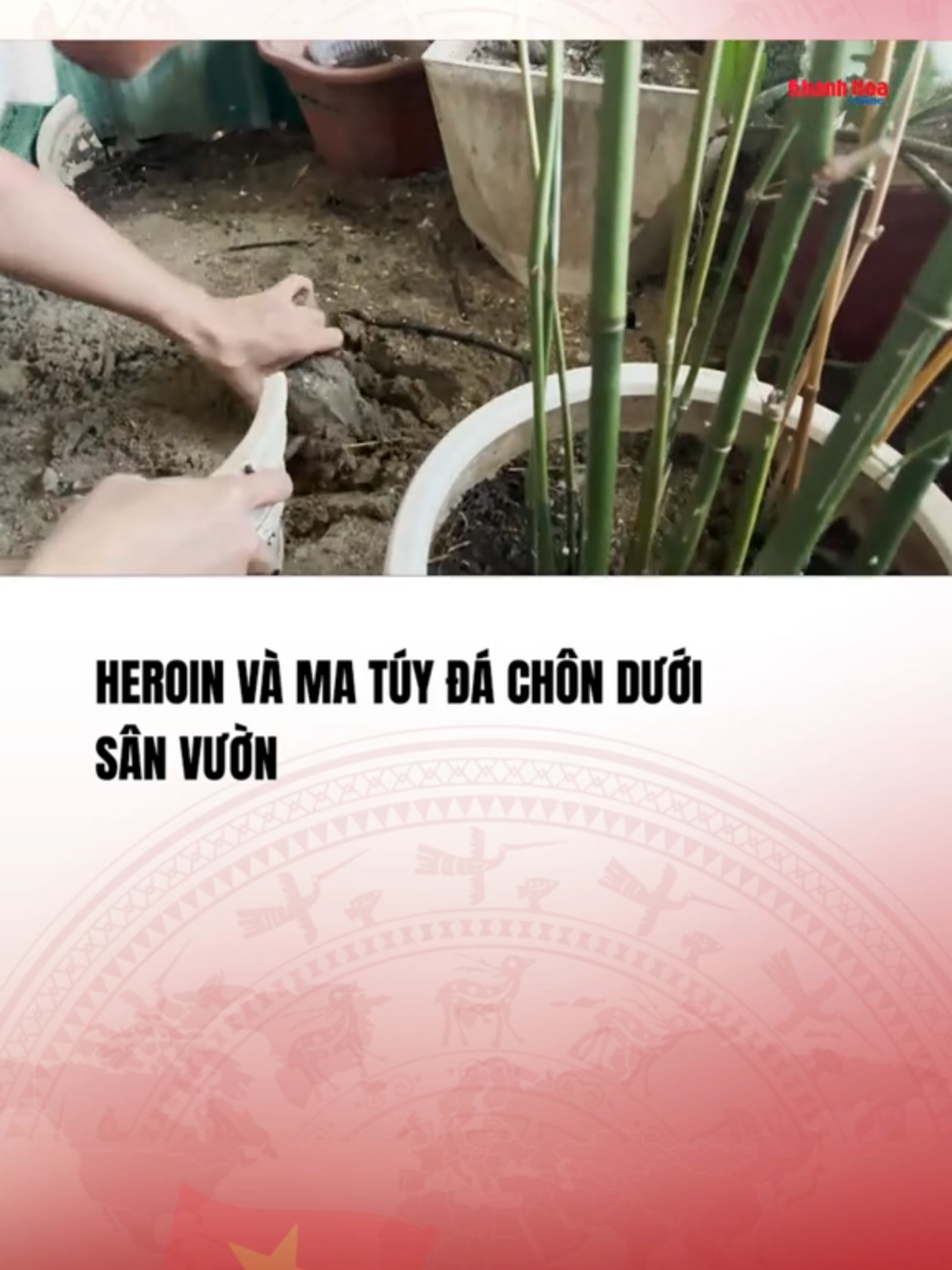 (Nguồn: Báo Khánh Hòa điện tử) Hôm qua (8/11/2025), Phòng CSĐT tội phạm về ma túy Công an tỉnh Khánh Hòa tiến hành khám xét khẩn cấp chỗ ở của 2 đối tượng tại Phường Bắc Nha Trang, phát hiện thu giữ nhiều heroin và ma túy đá#vtvcabtintuc#vtvcab#tiktoknews#vtvprime