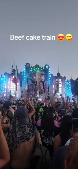 Lawd Have Meuuuurrrsssiiii#fyp #edc #edcorlando #beefcake 